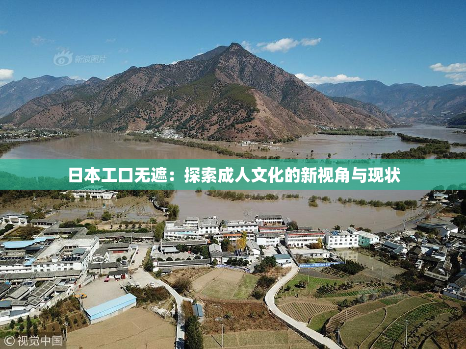 日本工口无遮：探索成人文化的新视角与现状