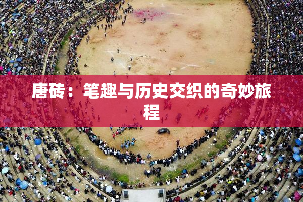 唐砖：笔趣与历史交织的奇妙旅程