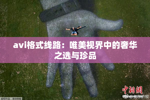 avi格式线路：唯美视界中的奢华之选与珍品