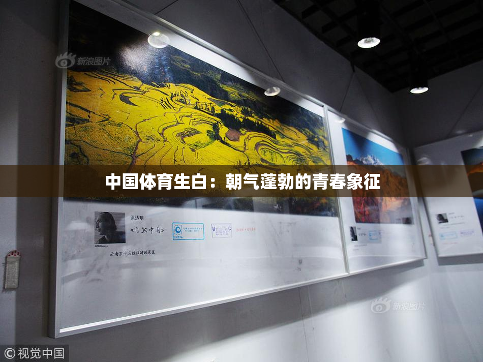 中国体育生白：朝气蓬勃的青春象征