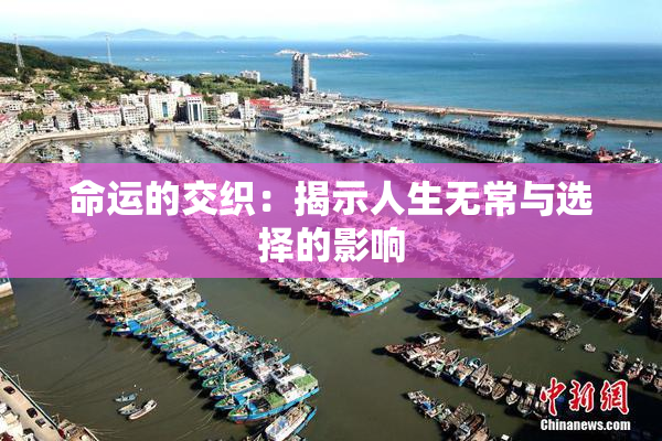 命运的交织：揭示人生无常与选择的影响