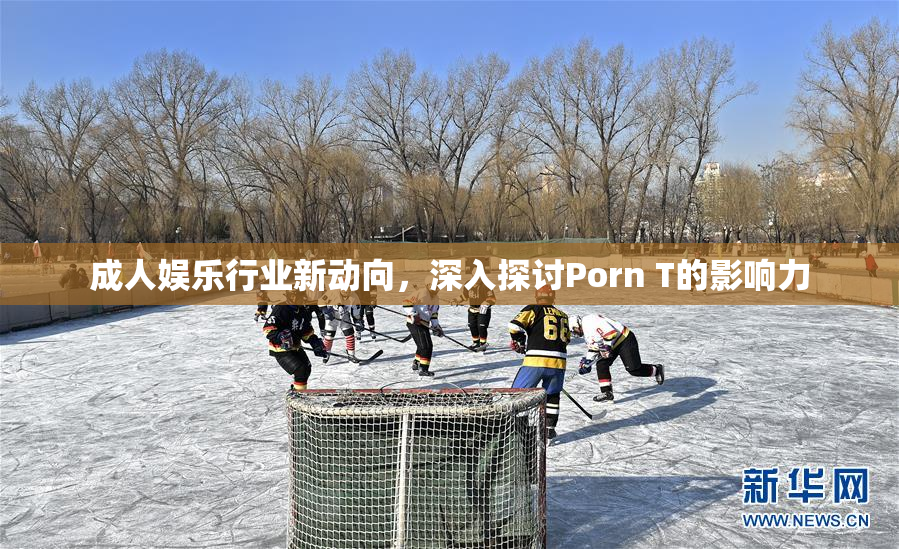 成人娱乐行业新动向，深入探讨Porn T的影响力