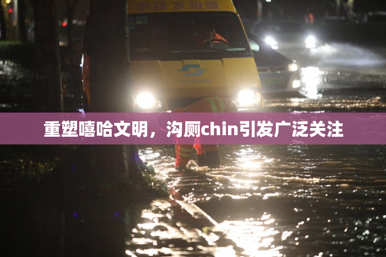 重塑嘻哈文明，沟厕chin引发广泛关注