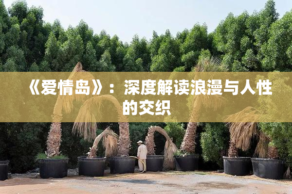 《爱情岛》：深度解读浪漫与人性的交织