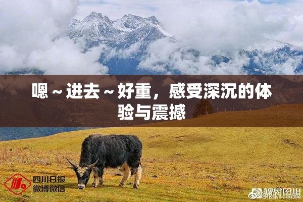 嗯～进去～好重，感受深沉的体验与震撼