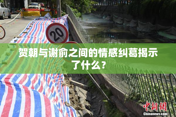 贺朝与谢俞之间的情感纠葛揭示了什么？