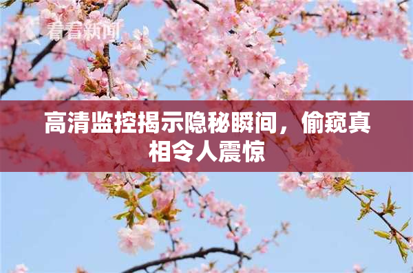 高清监控揭示隐秘瞬间，偷窥真相令人震惊