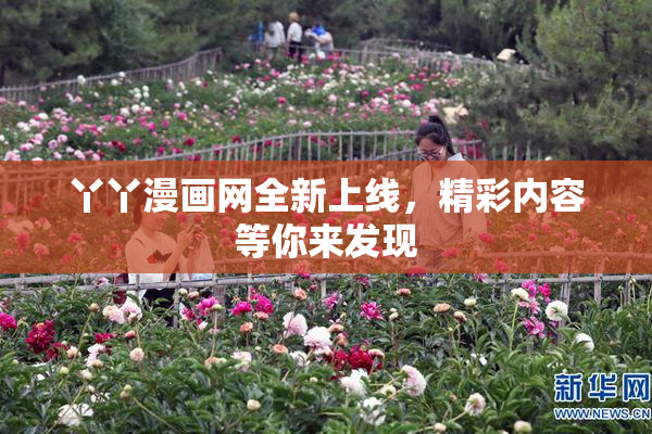 丫丫漫画网全新上线，精彩内容等你来发现