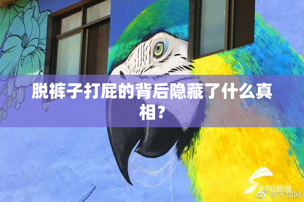 脱裤子打屁的背后隐藏了什么真相？