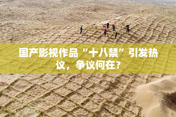 国产影视作品“十八禁”引发热议，争议何在？