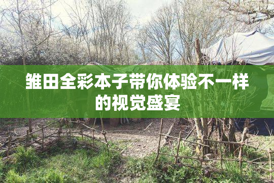 雏田全彩本子带你体验不一样的视觉盛宴