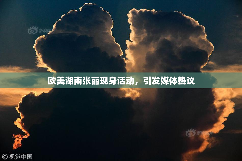 欧美湖南张丽现身活动，引发媒体热议