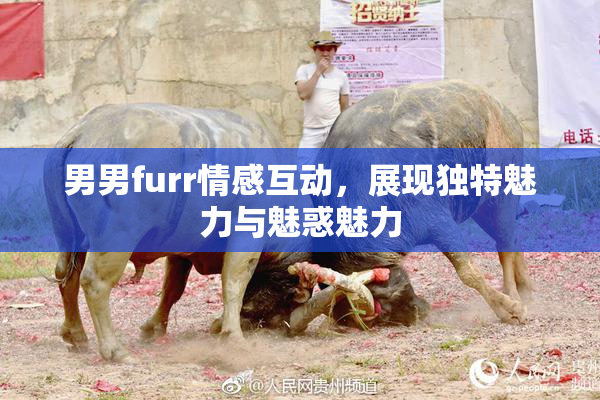 男男furr情感互动，展现独特魅力与魅惑魅力