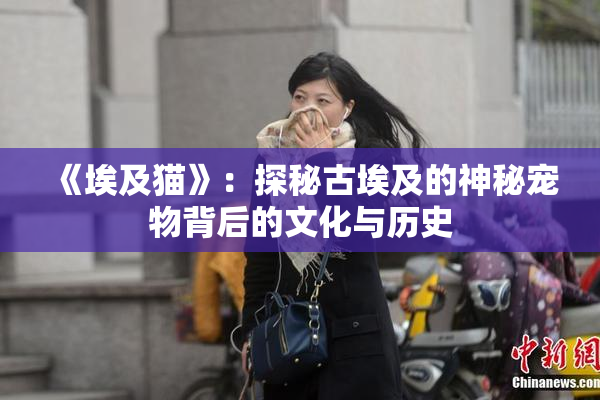 《埃及猫》：探秘古埃及的神秘宠物背后的文化与历史