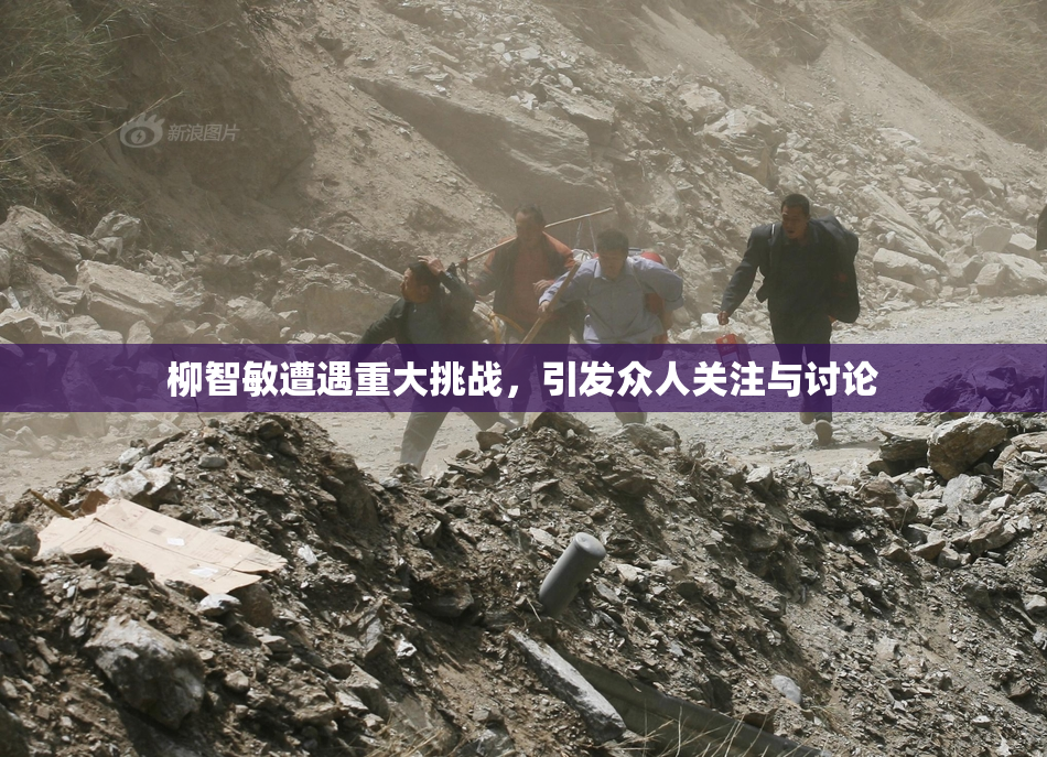 柳智敏遭遇重大挑战，引发众人关注与讨论