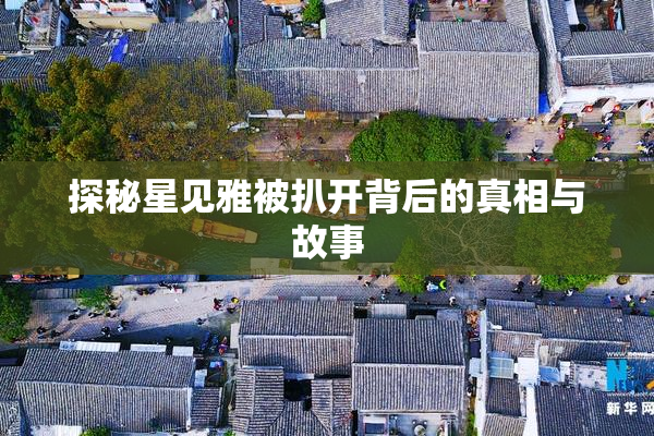 探秘星见雅被扒开背后的真相与故事