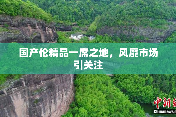 国产伦精品一席之地，风靡市场引关注