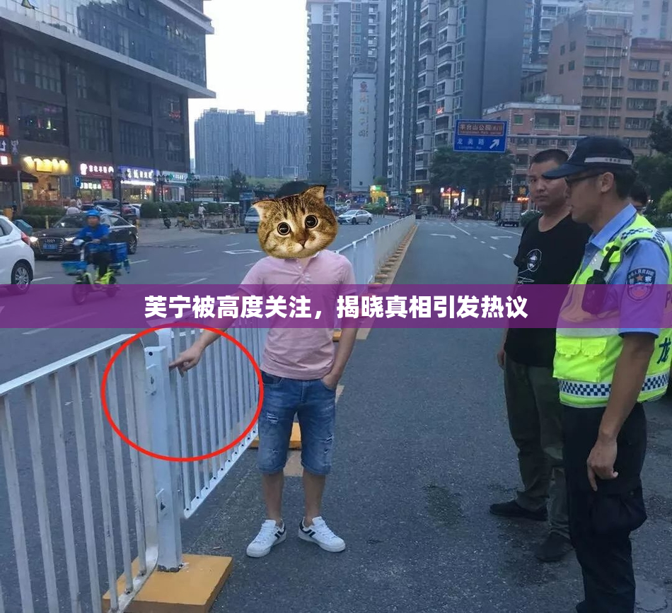 芙宁被高度关注，揭晓真相引发热议