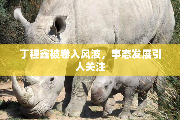 丁程鑫被卷入风波，事态发展引人关注