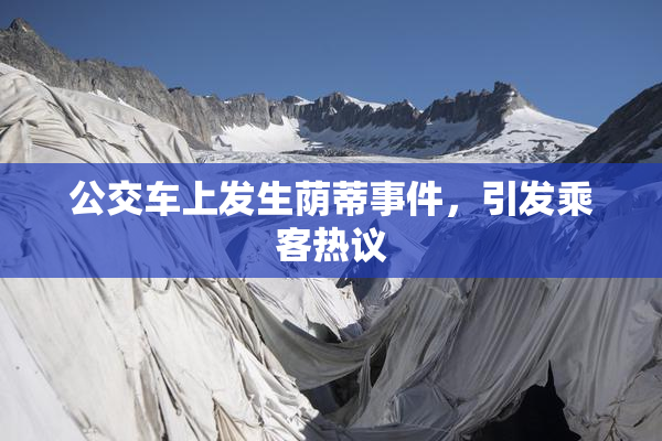 公交车上发生荫蒂事件，引发乘客热议