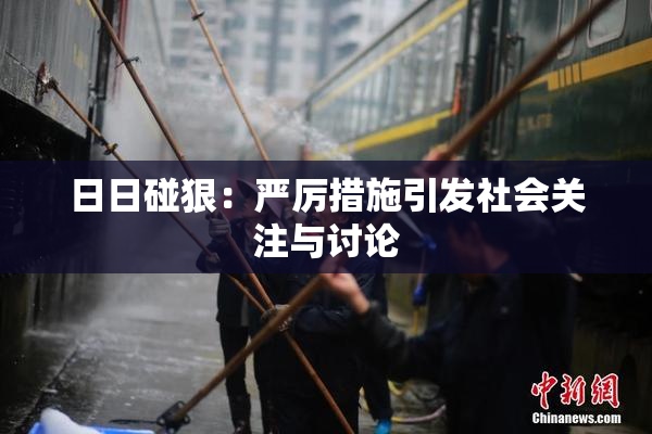 日日碰狠：严厉措施引发社会关注与讨论
