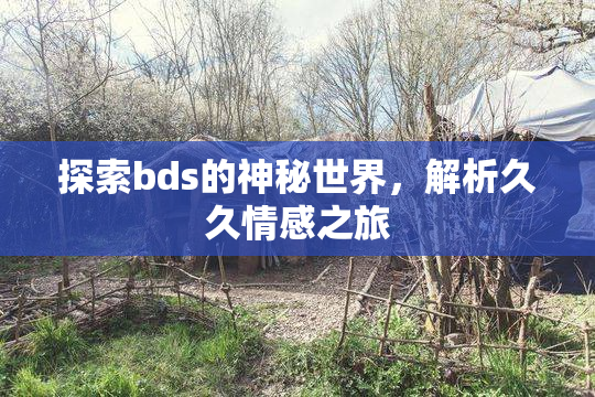 探索bds的神秘世界，解析久久情感之旅