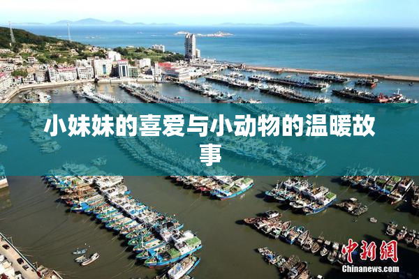 小妹妹的喜爱与小动物的温暖故事