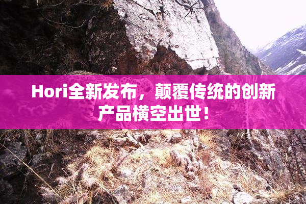Hori全新发布，颠覆传统的创新产品横空出世！