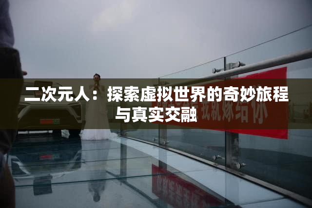 二次元人：探索虚拟世界的奇妙旅程与真实交融
