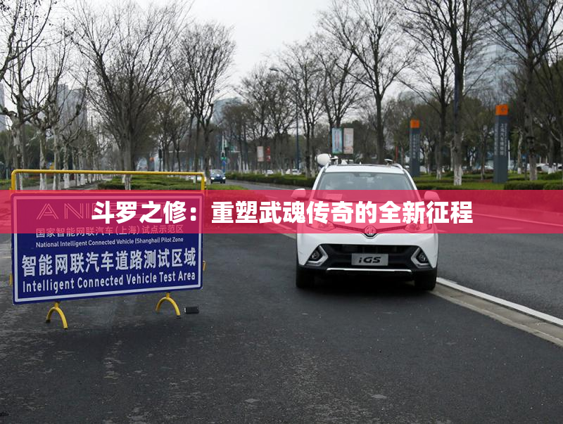 斗罗之修：重塑武魂传奇的全新征程