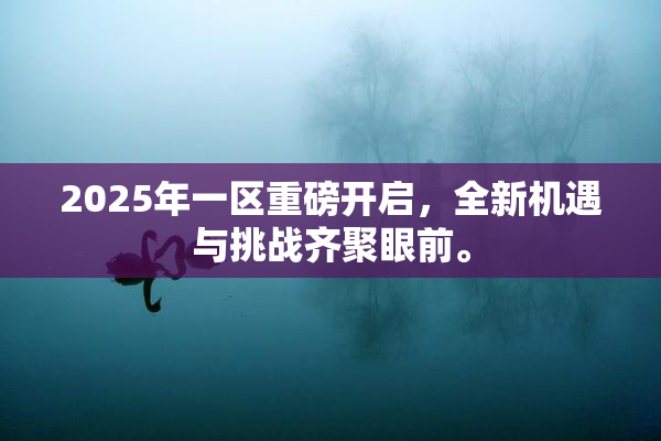 2025年一区重磅开启，全新机遇与挑战齐聚眼前。