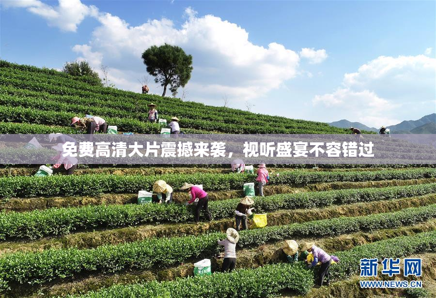 免费高清大片震撼来袭，视听盛宴不容错过