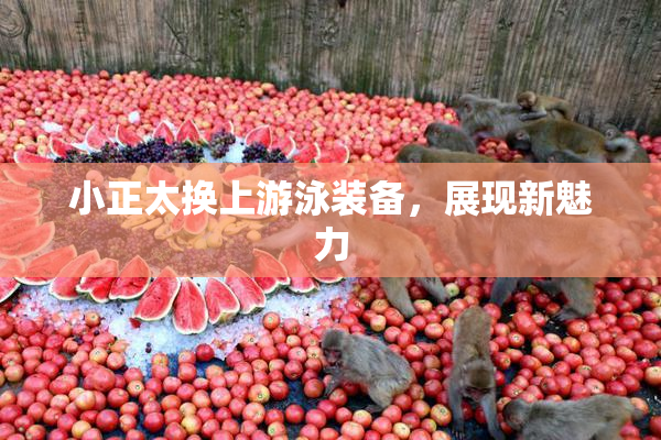小正太换上游泳装备，展现新魅力