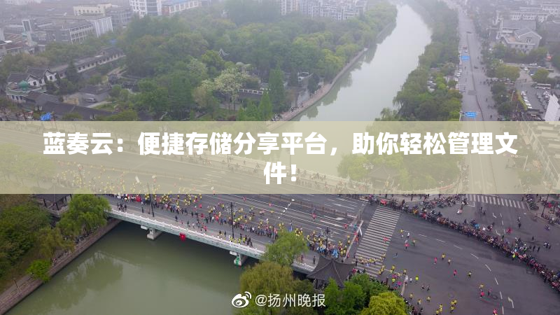 蓝奏云：便捷存储分享平台，助你轻松管理文件！