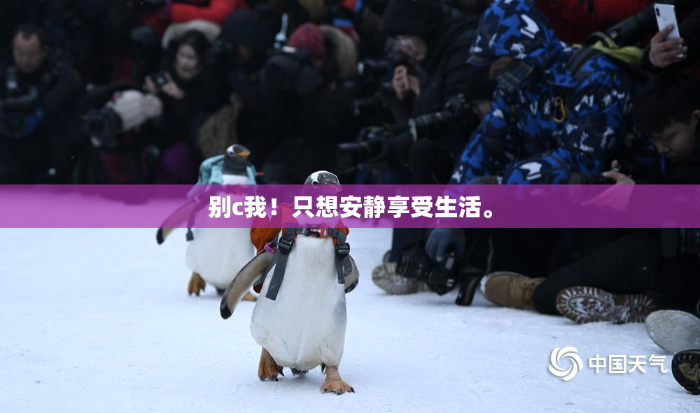 别c我！只想安静享受生活。