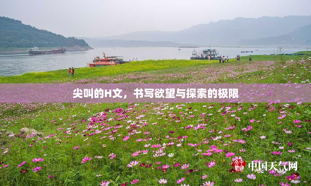 尖叫的H文，书写欲望与探索的极限