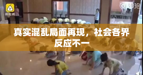 真实混乱局面再现，社会各界反应不一