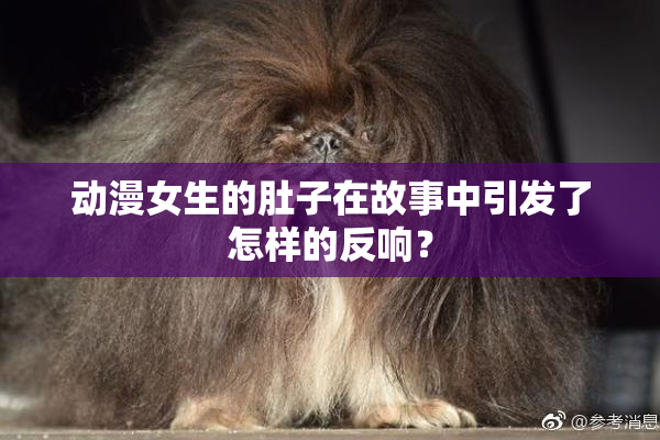 动漫女生的肚子在故事中引发了怎样的反响？