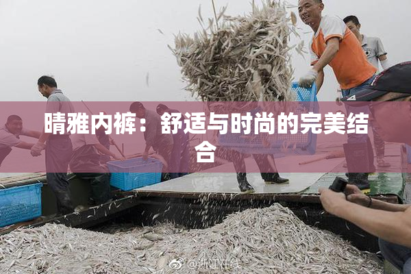 晴雅内裤：舒适与时尚的完美结合