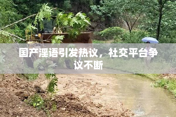 国产淫语引发热议，社交平台争议不断