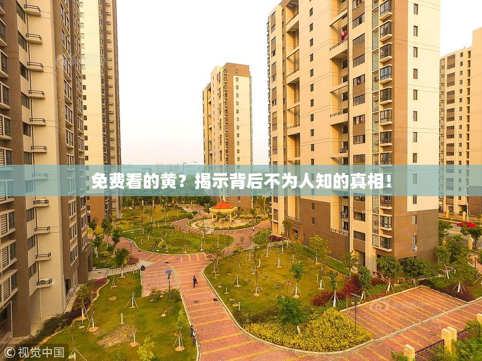 免费看的黄？揭示背后不为人知的真相！