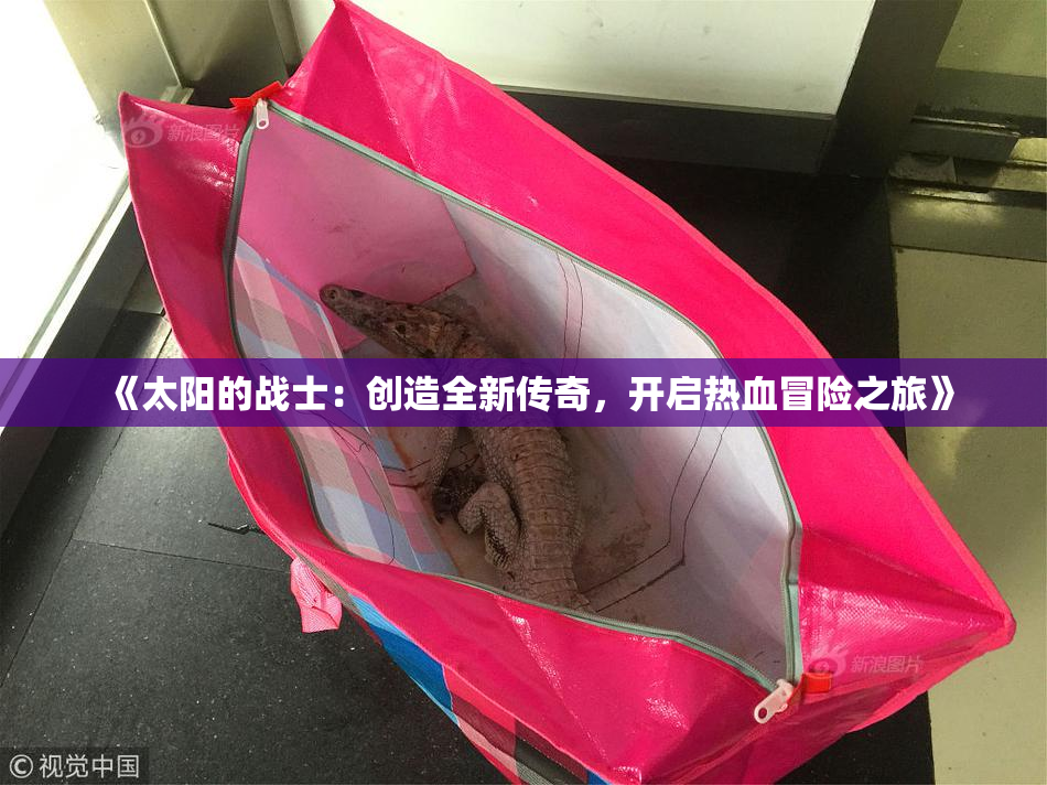 《太阳的战士：创造全新传奇，开启热血冒险之旅》