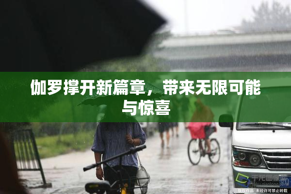 伽罗撑开新篇章，带来无限可能与惊喜