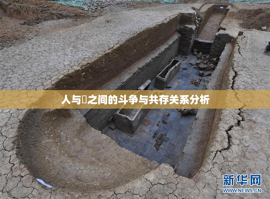 人与嘼之间的斗争与共存关系分析