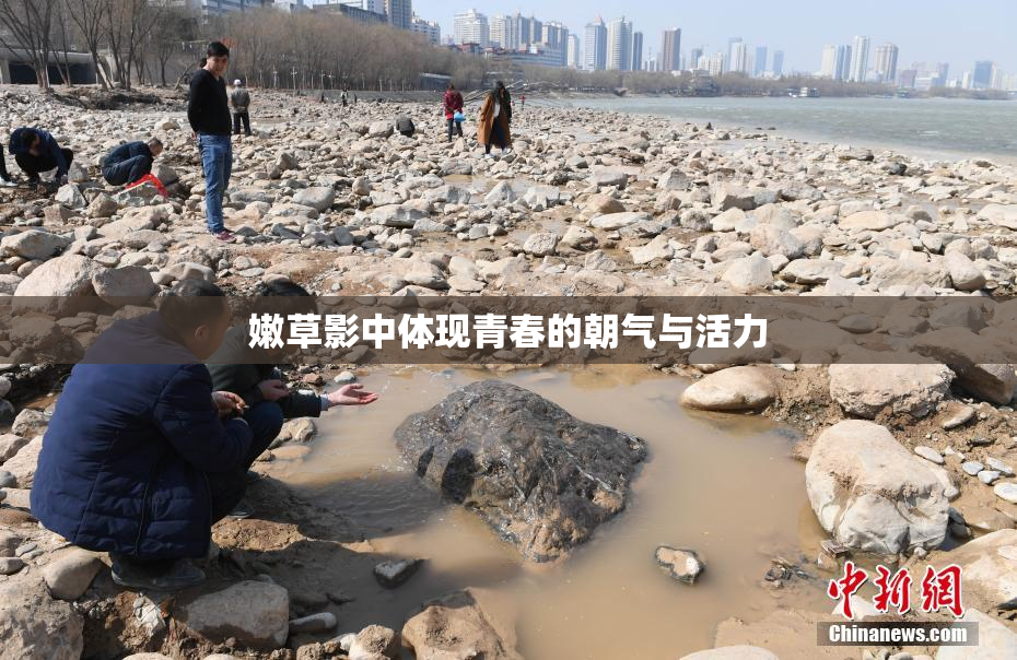 嫩草影中体现青春的朝气与活力