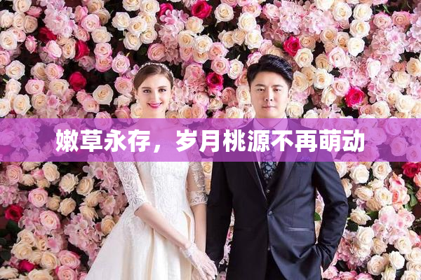 嫩草永存，岁月桃源不再萌动