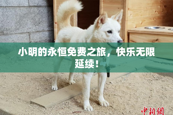 小明的永恒免费之旅，快乐无限延续！