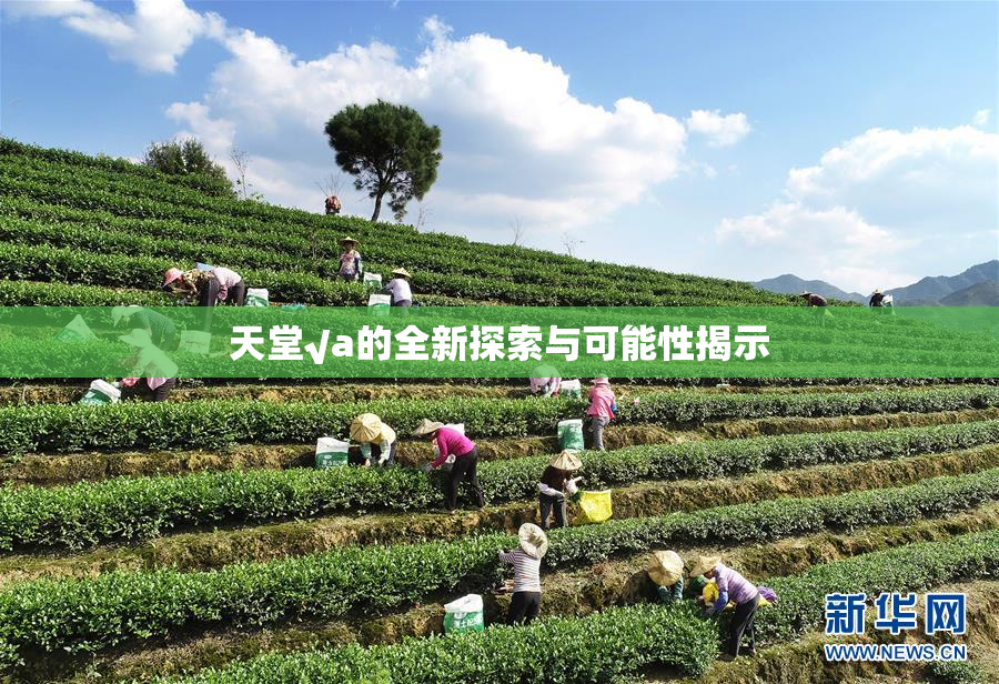 天堂√a的全新探索与可能性揭示