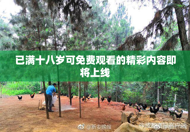 已满十八岁可免费观看的精彩内容即将上线