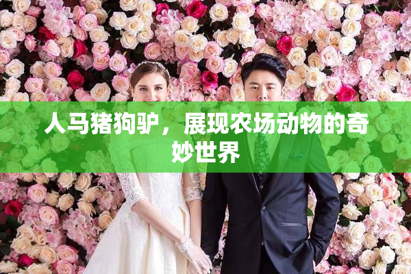 人马猪狗驴，展现农场动物的奇妙世界
